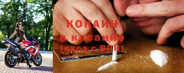 стафф Бородино