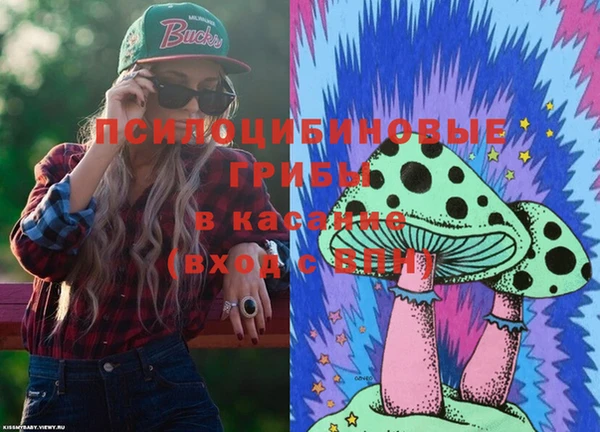 стафф Бородино