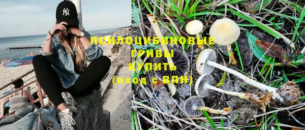 эйфоретик Бронницы