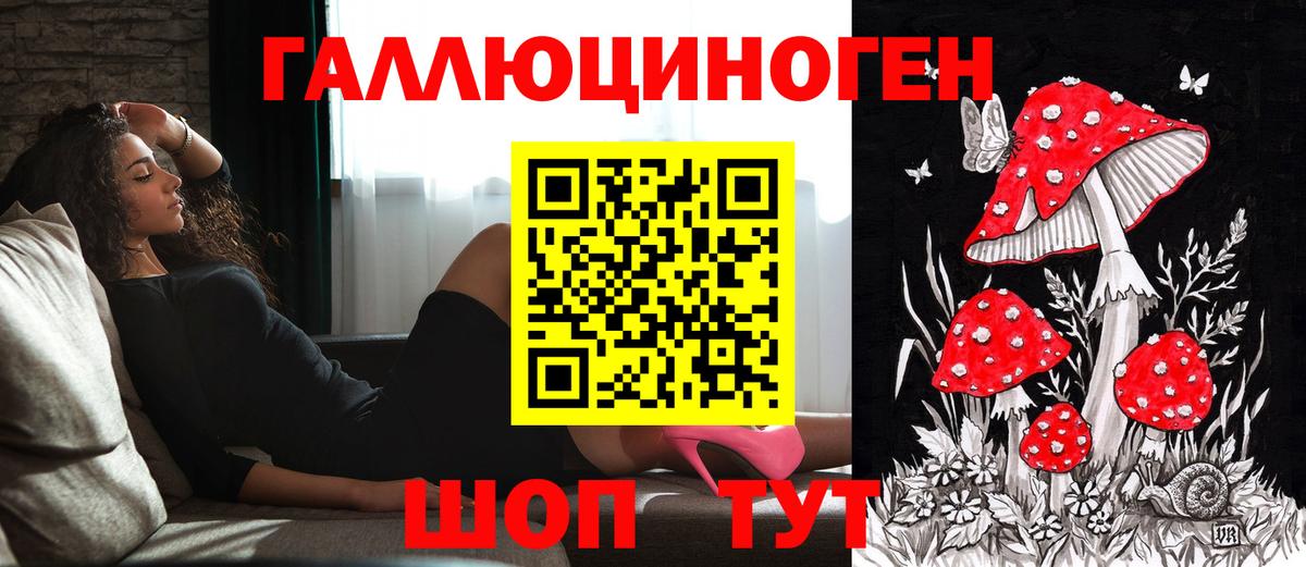 Северобайкальск  Псилоцибиновые грибы мицелий  Псилоцибиновые грибы мицелий  Вход с VPN 