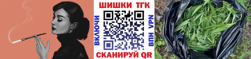 Бошки Шишки план  купить наркотик  Северобайкальск 